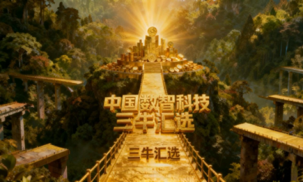 将儒释道哲思揉进商业决策，三牛汇选创始人卢洪波在商界重塑格局