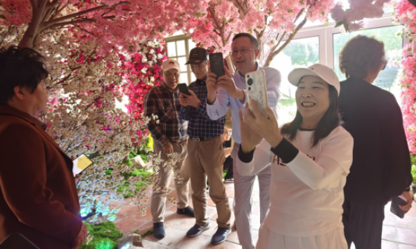 富裕之后，美育何为？ ——从何家村“疗愈花园”看乡村发展的精神跃迁