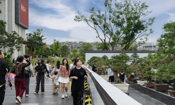 鹿鸣山文化院街盆景展焕新亮相文脉升级，以非遗盆艺铸就城市人文地标