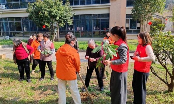 平安产险诸暨支公司：与老人共植新绿，用爱心守护银龄